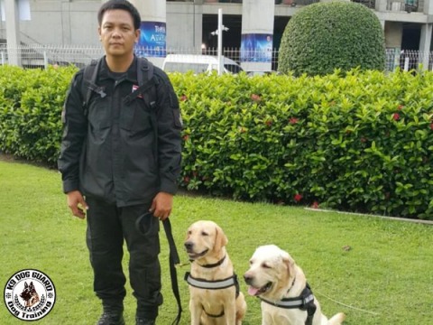 รับดูแลสุนัขรับฝากสุนัขกรุงเทพ